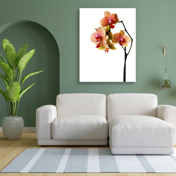 Orchid Image Canvas Painting Synthetic Frame-Paintings MDF Framing-AFF_FR-IC 5000160 IC 5000160, Black and White, Botanical, Decorative, Floral, Flowers, Love, Nature, Patterns, Romance, Scenic, Signs, Signs and Symbols, Tropical, White, orchid, image, canvas, painting, for, bedroom, living, room, engineered, wood, frame, orchids, background, beautiful, beauty, bloom, blossom, border, botany, branch, bright, bud, close, closeup, color, day, design, dotted, exotic, flora, flower, fragility, fresh, freshness,