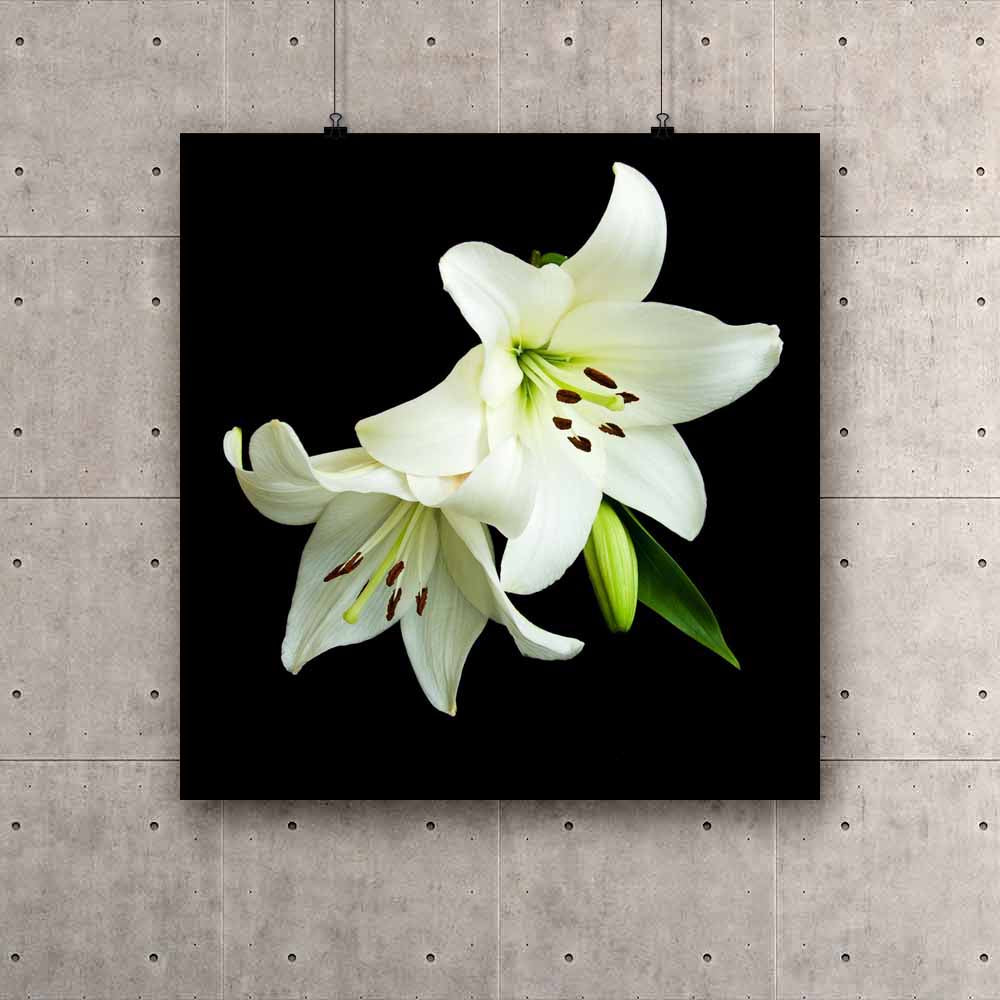 ArtzFolio.com