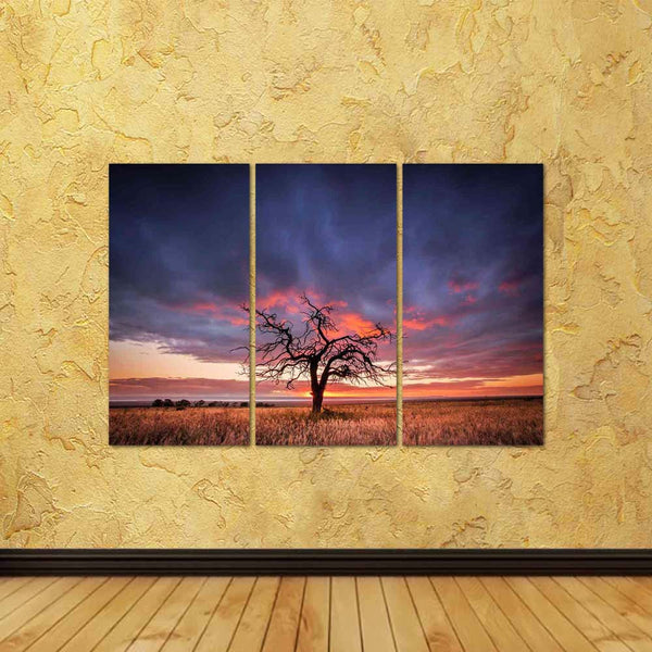 ArtzFolio Tree in the Flinders Ranges of South Australia Split Art Painting Panel on Sunboard-Split Art Panels-AZ5006172SPL_FR_RF_R-0-Image Code 5006172 Vishnu Image Folio Pvt Ltd, IC 5006172, ArtzFolio, Split Art Panels, Landscapes, Places, Photography, tree, in, the, flinders, ranges, of, south, australia, split, art, painting, panel, on, sunboard, framed, canvas, print, wall, for, living, room, with, frame, poster, pitaara, box, large, size, drawing, big, office, reception, kids, designer, decorative, am