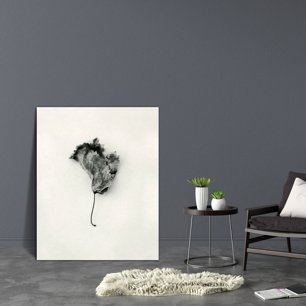 Mulberry Tree Leaf Canvas Painting Synthetic Frame-Paintings MDF Framing-AFF_FR-IC 5000026 IC 5000026, Art and Paintings, Asian, Black and White, Cities, City Views, Japanese, Nature, Photography, Scenic, Seasons, White, mulberry, tree, leaf, canvas, painting, synthetic, frame, age, art, background, black, and, change, closed, dead, death, depression, fallen, fine, isolated, leaves, loss, natural, object, old, one, paper, pathos, sad, seasonal, simple, simplicity, wabi, sabi, winter, wrinkled, zen, artzfoli