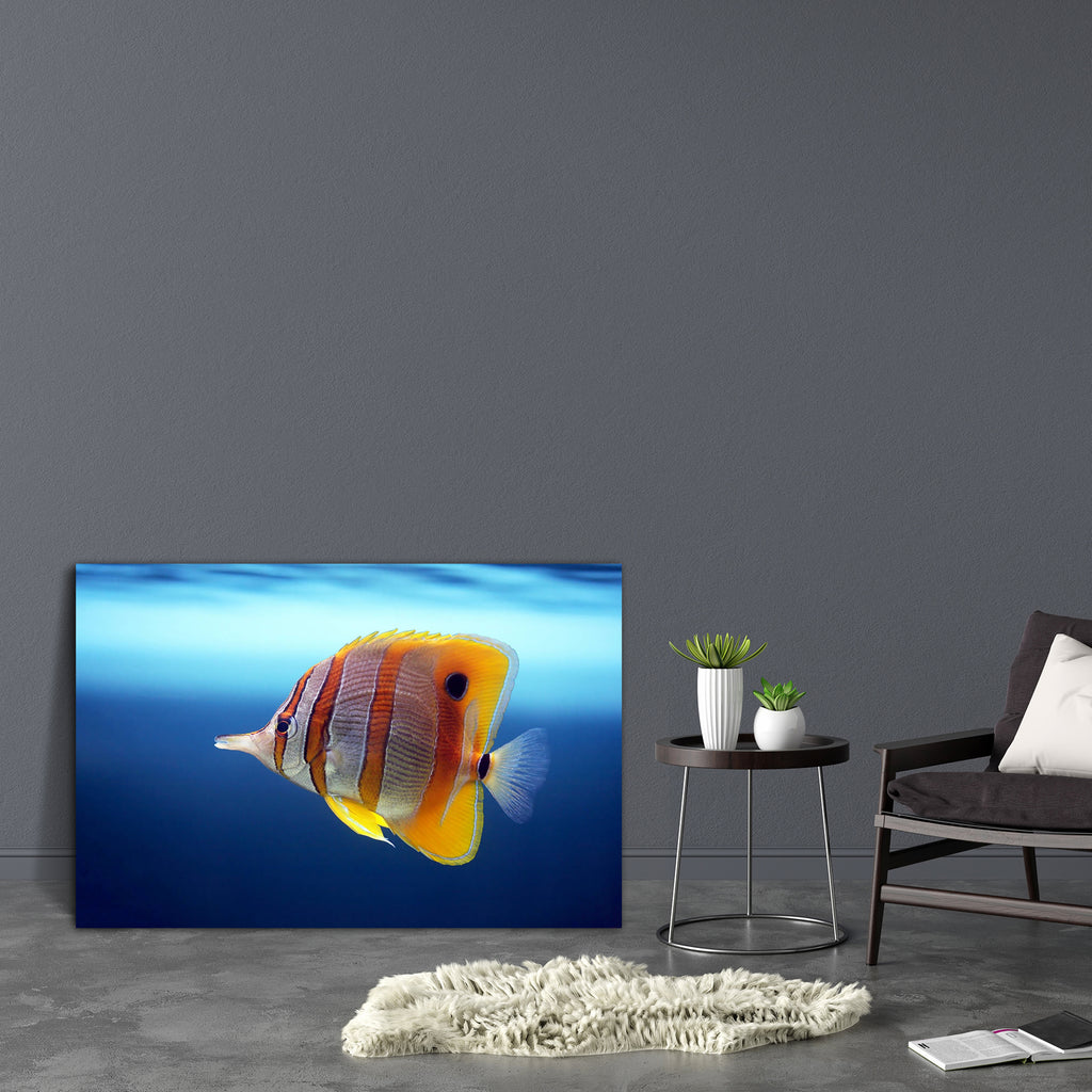 Sixspine Butterfly Fish Image Canvas Painting Synthetic Frame-Paintings MDF Framing-AFF_FR-IC 5000039 IC 5000039, Animals, Nature, Parents, Scenic, Wildlife, sixspine, butterfly, fish, image, canvas, painting, synthetic, frame, tropical, water, animal, eye, scale, aquarium, beautiful, beauty, in, blue, color, colourful, coral, deep, descriptive, diving, exoticism, fin, tank, floats, marines, purity, reef, sea, life, suspicion, swimming, transparent, turquoise, underwater, zoo, artzfolio, wall decor for livi