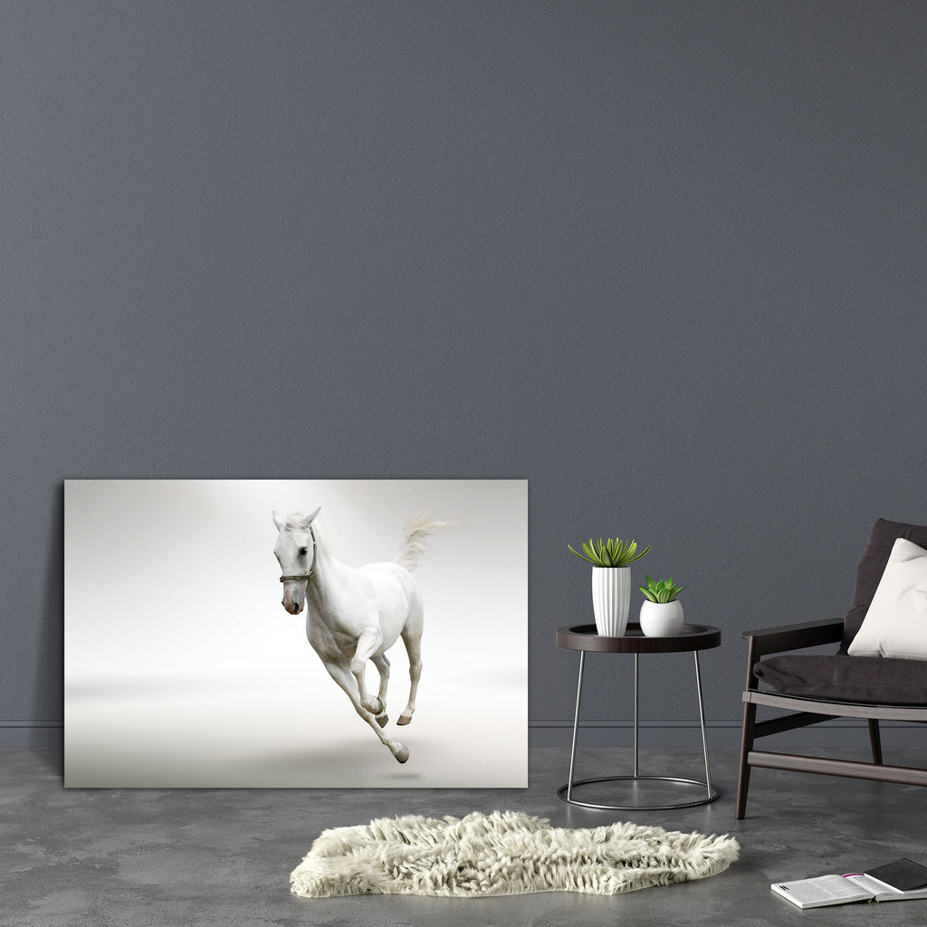 White Horse D1 Canvas Painting Synthetic Frame-Paintings MDF Framing-AFF_FR-IC 5000148 IC 5000148, Animals, Black and White, Nature, Pets, Scenic, White, horse, d1, canvas, painting, synthetic, frame, racing, active, animal, arab, arabian, background, elegant, equestrian, equine, fast, free, freedom, gallop, grey, isolated, mammal, mane, motion, natural, noble, pet, run, speed, stallion, tail, trot, wild, artzfolio, wall decor for living room, wall frames for living room, frames for living room, wall art, c