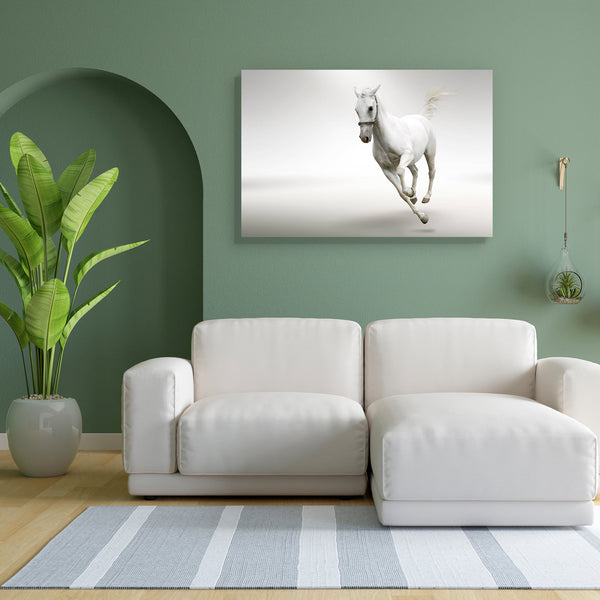 White Horse D1 Canvas Painting Synthetic Frame-Paintings MDF Framing-AFF_FR-IC 5000148 IC 5000148, Animals, Black and White, Nature, Pets, Scenic, White, horse, d1, canvas, painting, for, bedroom, living, room, engineered, wood, frame, racing, active, animal, arab, arabian, background, elegant, equestrian, equine, fast, free, freedom, gallop, grey, isolated, mammal, mane, motion, natural, noble, pet, run, speed, stallion, tail, trot, wild, artzfolio, wall decor for living room, wall frames for living room, 