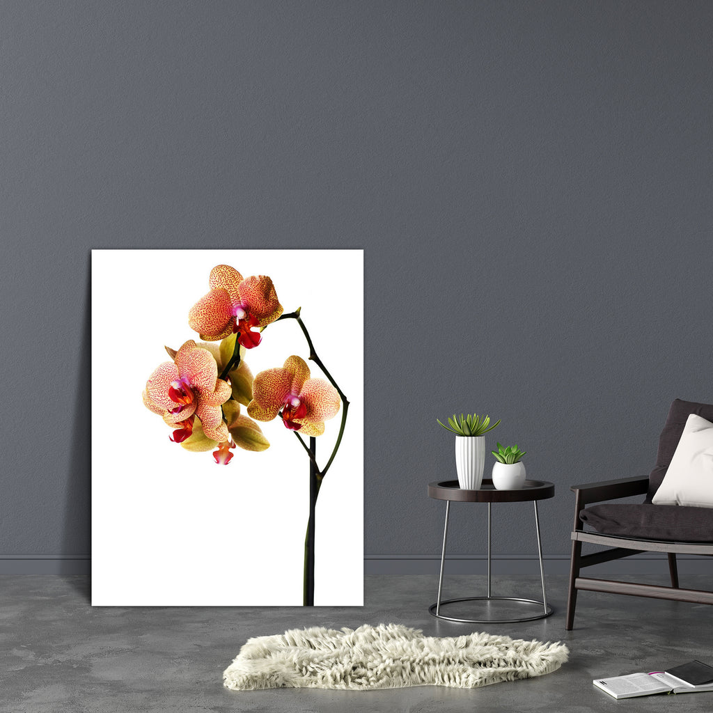 Orchid Image Canvas Painting Synthetic Frame-Paintings MDF Framing-AFF_FR-IC 5000160 IC 5000160, Black and White, Botanical, Decorative, Floral, Flowers, Love, Nature, Patterns, Romance, Scenic, Signs, Signs and Symbols, Tropical, White, orchid, image, canvas, painting, synthetic, frame, orchids, background, beautiful, beauty, bloom, blossom, border, botany, branch, bright, bud, close, closeup, color, day, design, dotted, exotic, flora, flower, fragility, fresh, freshness, gift, isolate, isolated, long, mac