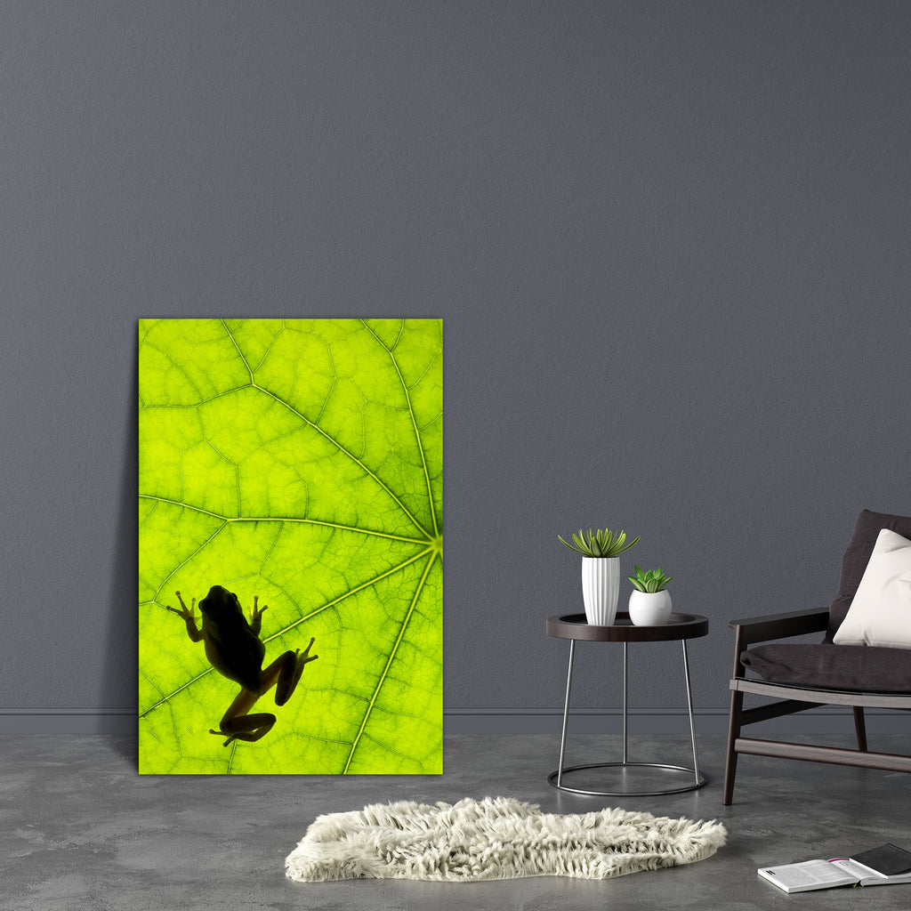 Tree Frog Backlit Canvas Painting Synthetic Frame-Paintings MDF Framing-AFF_FR-IC 5000163 IC 5000163, Nature, Scenic, tree, frog, backlit, canvas, painting, synthetic, frame, amphibian, detail, forest, green, jungle, leaf, macro, shadow, silhouette, treefrog, artzfolio, wall decor for living room, wall frames for living room, frames for living room, wall art, canvas painting, wall frame, scenery, panting, paintings for living room, framed wall art, wall painting, scenery painting, framed wall painting, scen