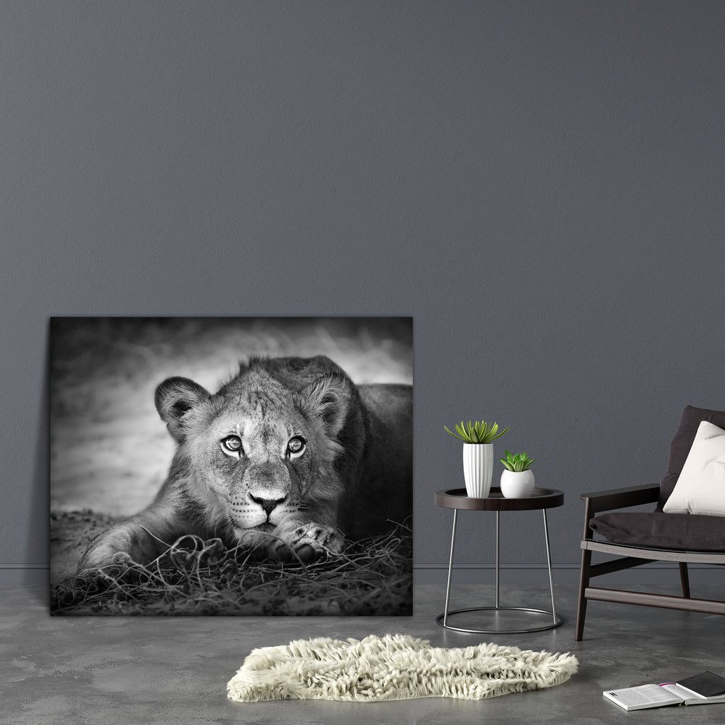 Lion Panthera Leo Canvas Painting Synthetic Frame-Paintings MDF Framing-AFF_FR-IC 5000227 IC 5000227, African, Animals, Black and White, Individuals, Nature, Portraits, Scenic, White, Wildlife, lion, panthera, leo, canvas, painting, synthetic, frame, cub, africa, animal, black, and, cat, close, closeup, dark, down, eyes, field, flat, front, grass, head, image, kalahari, lie, male, monochrome, nobody, one, portrait, up, view, wild, wilderness, young, artzfolio, wall decor for living room, wall frames for liv