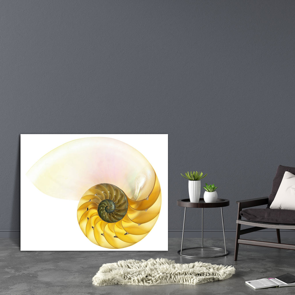 Halved Backlit Canvas Painting Synthetic Frame-Paintings MDF Framing-AFF_FR-IC 5000293 IC 5000293, Ancient, Animals, Black and White, Historical, Medieval, Nature, Patterns, Scenic, Vintage, White, halved, backlit, canvas, painting, synthetic, frame, shell, nautilus, animal, background, cephalopod, chamber, closeup, curve, cutaway, detail, float, fossil, fractal, geometry, half, infinity, isolated, large, macro, natural, old, pattern, pearl, regular, sea, spiral, swirl, symmetrical, symmetry, texture, yello