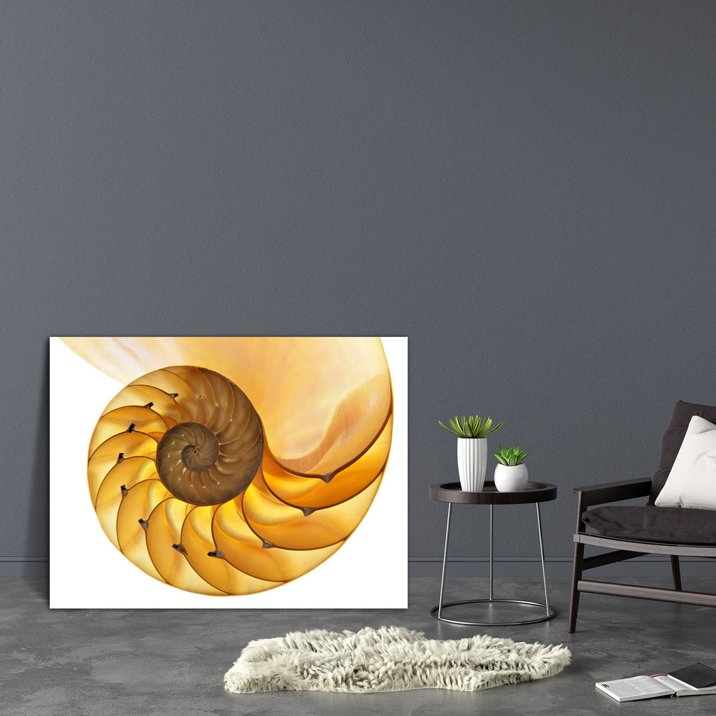 Halved Backlit Shell Canvas Painting Synthetic Frame-Paintings MDF Framing-AFF_FR-IC 5000294 IC 5000294, Ancient, Animals, Black and White, Historical, Medieval, Nature, Patterns, Scenic, Vintage, White, halved, backlit, shell, canvas, painting, synthetic, frame, nautilus, spiral, fibonacci, animal, background, cephalopod, chamber, closeup, curve, cutaway, detail, float, fossil, fractal, geometry, half, infinity, isolated, large, macro, natural, old, pattern, pearl, regular, sea, swirl, symmetrical, symmetr