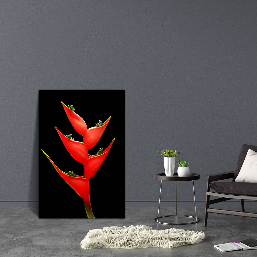 Red Bird Of Paradise Flower Canvas Painting Synthetic Frame-Paintings MDF Framing-AFF_FR-IC 5000297 IC 5000297, Birds, Black, Black and White, Botanical, Decorative, Floral, Flowers, Memories, Nature, Scenic, Seasons, White, red, bird, of, paradise, flower, canvas, painting, synthetic, frame, background, beautiful, beauty, bloom, blossom, blue, botany, bouquet, celebration, color, colorful, day, dream, field, flora, fresh, garden, grass, green, grow, happy, ideas, isolate, isolated, leaf, memory, natural, o