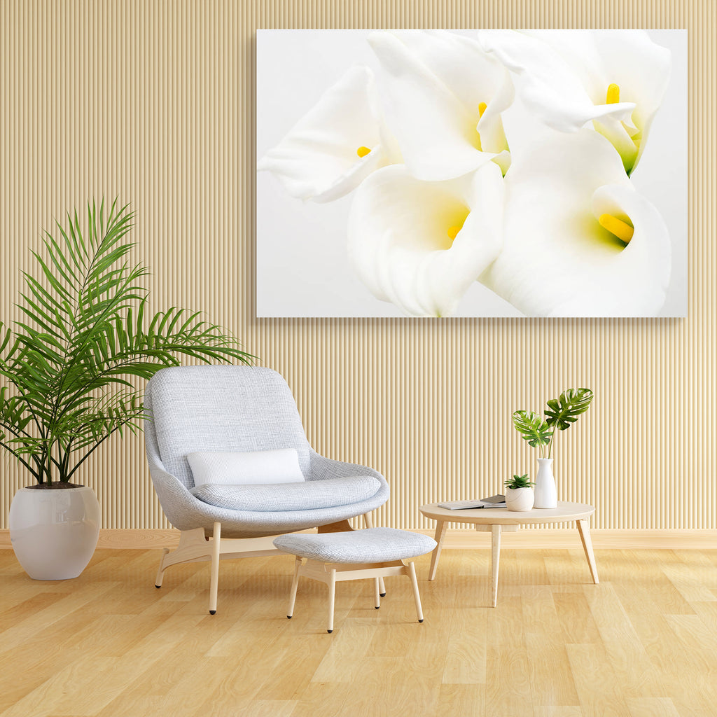 Calla Lily D2 Canvas Painting Synthetic Frame-Paintings MDF Framing-AFF_FR-IC 5000417 IC 5000417, Black and White, Botanical, Eygptian, Floral, Flowers, Nature, Scenic, White, calla, lily, d2, canvas, painting, synthetic, frame, araceae, arranged, arrangement, arum, beauty, bloom, blooming, blossom, blossoming, color, cut, easter, flores, flower, flowering, flowery, fresh, freshness, full, light, natural, nile, plant, spring, yellow, zantedeschia, artzfolio, wall decor for living room, wall frames for livin