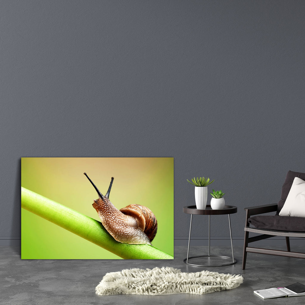 Snail Crawling On Green Stem Canvas Painting Synthetic Frame-Paintings MDF Framing-AFF_FR-IC 5000700 IC 5000700, Animals, Nature, Scenic, Wildlife, snail, crawling, on, green, stem, canvas, painting, synthetic, frame, snails, helix, aspersa, animal, background, brown, close, up, common, crawl, detail, garden, invertebrate, leaf, macro, mollusk, one, outdoors, pest, plant, artzfolio, wall decor for living room, wall frames for living room, frames for living room, wall art, canvas painting, wall frame, scener