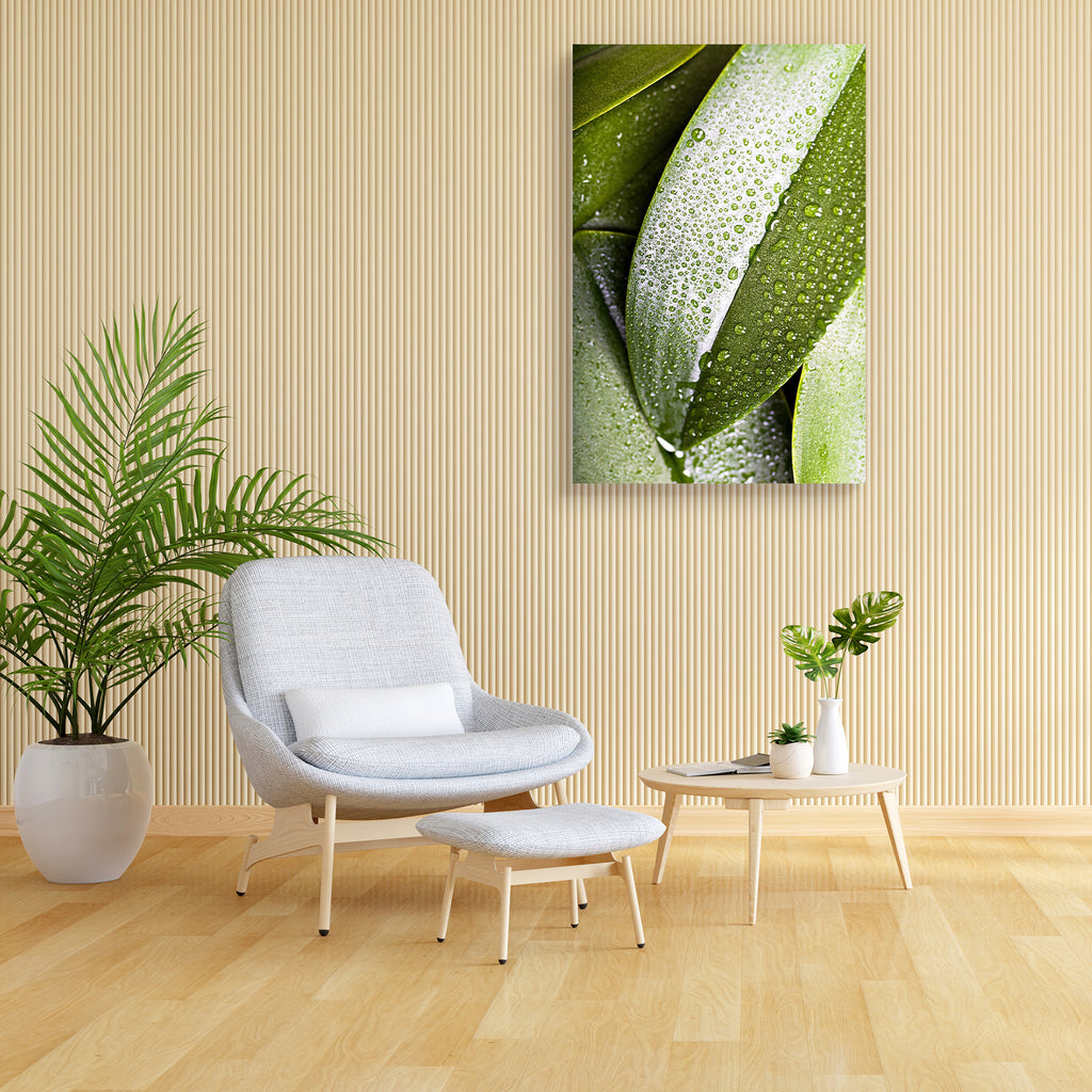 Plants With The Morning Dew D2 Canvas Painting Synthetic Frame-Paintings MDF Framing-AFF_FR-IC 5000843 IC 5000843, Botanical, Floral, Flowers, Love, Nature, Romance, Scenic, plants, with, the, morning, dew, d2, canvas, painting, synthetic, frame, backyard, beauty, drop, freshness, garden, grass, green, leaf, pansies, park, petals, plant, ranunculus, single, watter, wild, artzfolio, wall decor for living room, wall frames for living room, frames for living room, wall art, canvas painting, wall frame, scenery