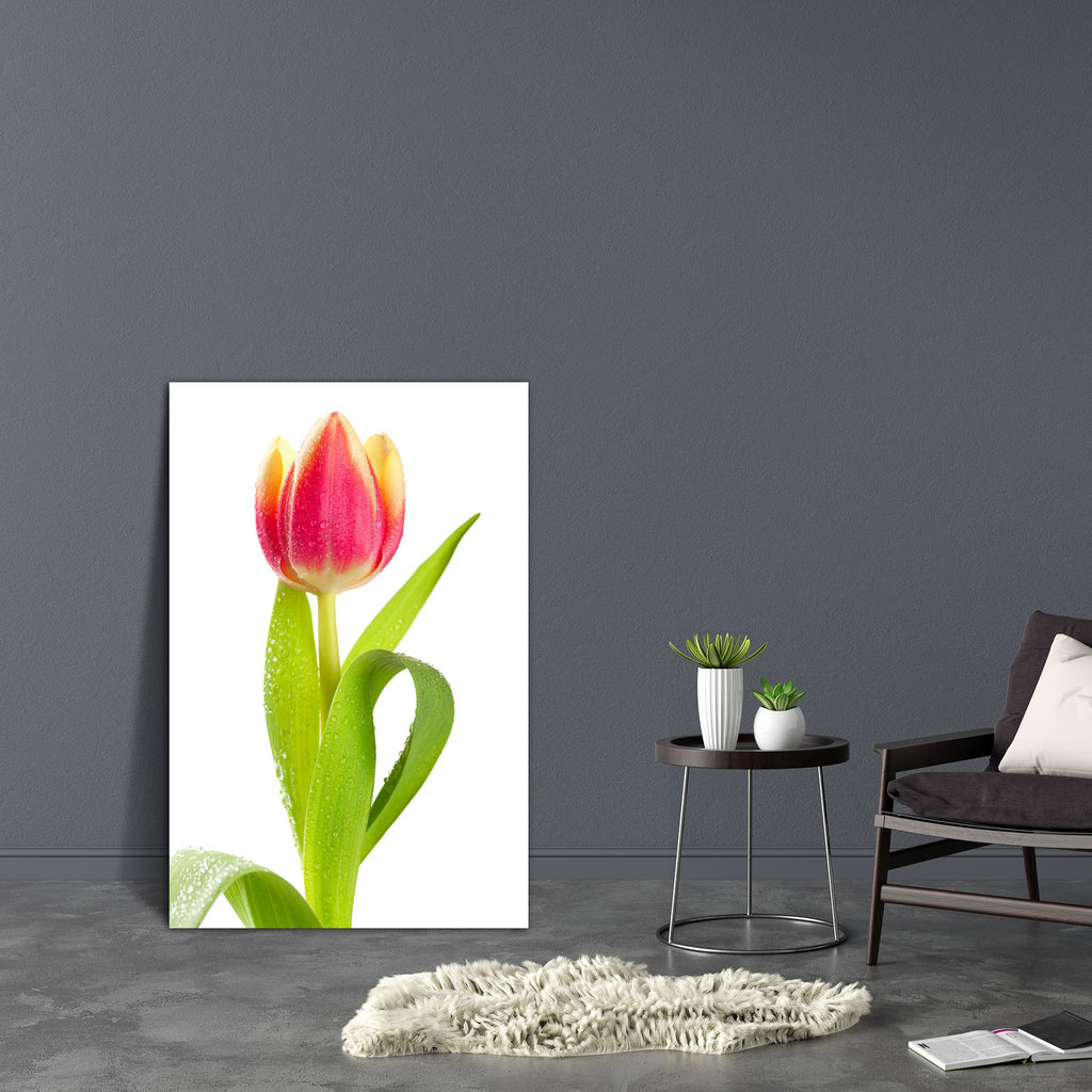 Pink Tulip In Water Drops Canvas Painting Synthetic Frame-Paintings MDF Framing-AFF_FR-IC 5000861 IC 5000861, Black and White, Botanical, Floral, Flowers, Nature, Scenic, White, pink, tulip, in, water, drops, canvas, painting, synthetic, frame, background, beautiful, dew, flora, green, humidity, isolated, isolation, leather, leaves, moisture, nice, plant, red, skin, artzfolio, wall decor for living room, wall frames for living room, frames for living room, wall art, canvas painting, wall frame, scenery, pan