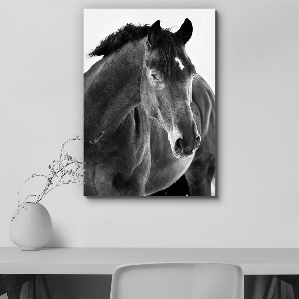 Black Horse Portrait Canvas Painting Synthetic Frame-Paintings MDF Framing-AFF_FR-IC 5000884 IC 5000884, Ancient, Animals, Black, Black and White, Bohemian, Culture, Ethnic, Historical, Individuals, Medieval, Photography, Portraits, Traditional, Tribal, Vintage, White, World Culture, horse, portrait, canvas, painting, synthetic, frame, agriculture, animal, beautiful, bohemia, breed, carriage, czech, dark, domestic, elegant, equestrian, equine, europe, eye, grass, head, history, horsehair, mammal, national, 