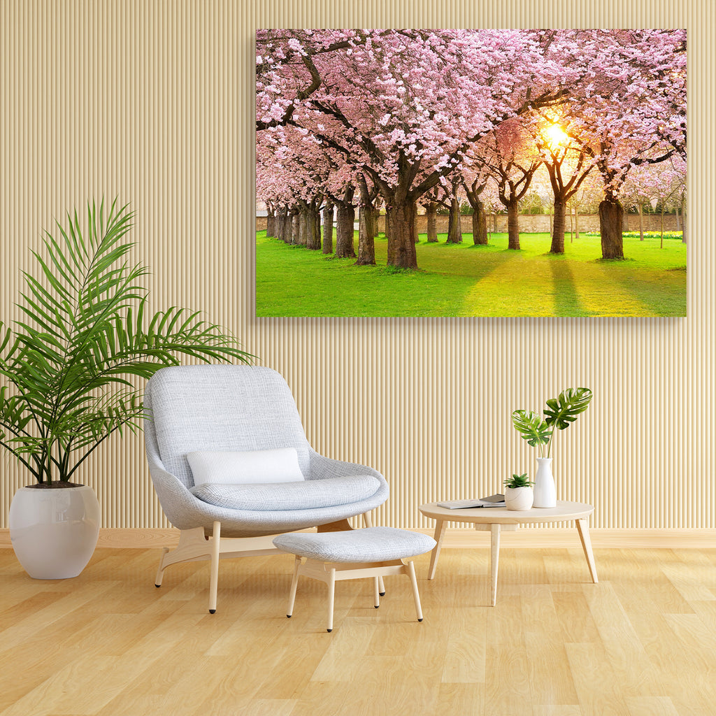 Cherry Tree Garden Canvas Painting Synthetic Frame-Paintings MDF Framing-AFF_FR-IC 5000885 IC 5000885, Botanical, Floral, Flowers, Japanese, Landscapes, Nature, Scenic, Seasons, Sunsets, cherry, tree, garden, canvas, painting, synthetic, frame, blossom, blossoms, trees, spring, landscape, beautiful, scenery, alley, avenue, backlight, blossoming, botany, canopy, color, covered, easter, flora, flower, gold, gorgeous, grass, green, idyllic, japan, lawn, meadow, outdoor, park, pink, romantic, rows, scene, seaso