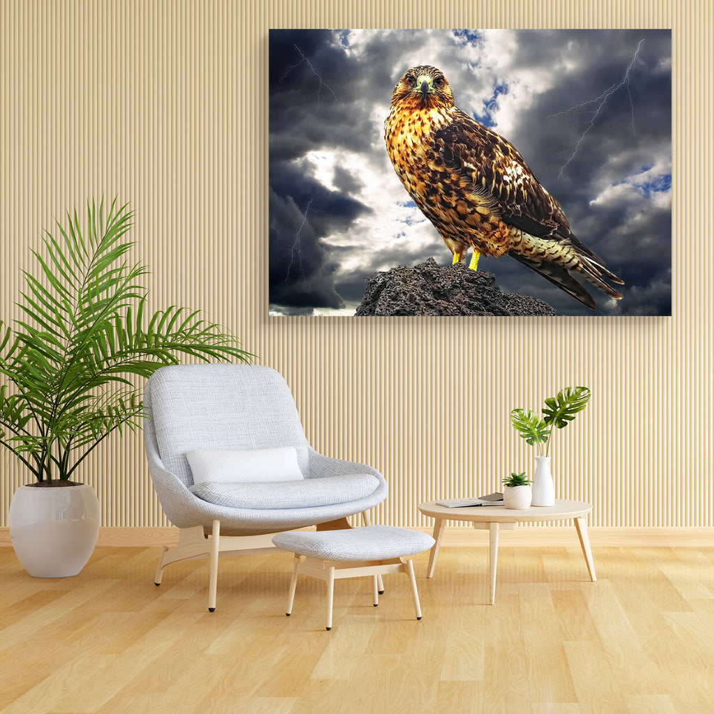 Galapagos Eagle Canvas Painting Synthetic Frame-Paintings MDF Framing-AFF_FR-IC 5000890 IC 5000890, American, Animals, Birds, Individuals, Nature, Portraits, Scenic, Wildlife, galapagos, eagle, canvas, painting, synthetic, frame, america, animal, background, beak, beauty, bird, brown, close, up, cloud, color, contour, dark, eye, feather, flash, freedom, horizontal, light, nobody, one, outdoors, photo, plumage, portrait, predator, prey, regal, sharp, silhouette, sit, sky, storm, strength, wild, artzfolio, wa