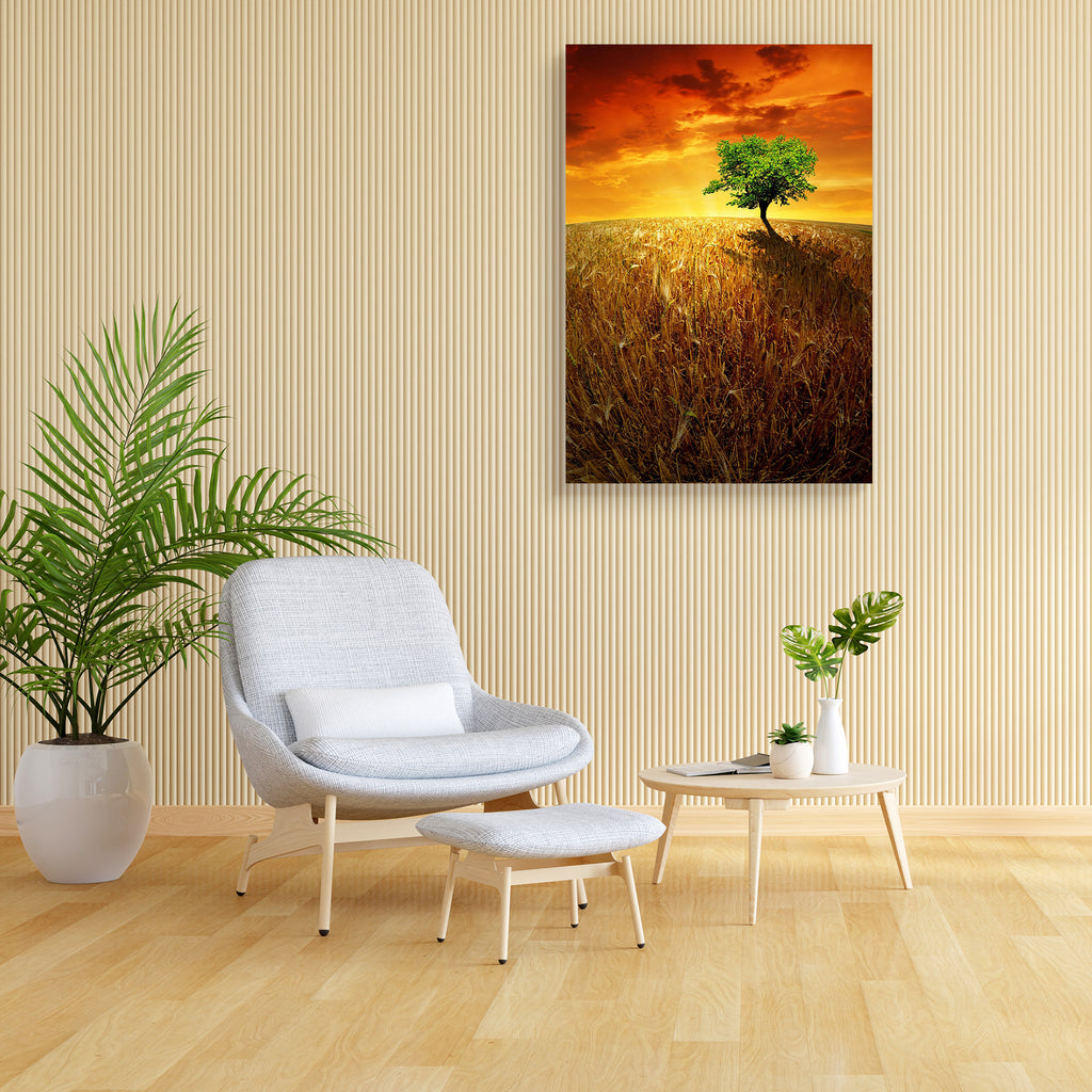 Sunset Over Wheat Fields Canvas Painting Synthetic Frame-Paintings MDF Framing-AFF_FR-IC 5000942 IC 5000942, Countries, Culture, Ethnic, Landscapes, Nature, Plain, Rural, Scenic, Sunrises, Sunsets, Traditional, Tribal, World Culture, sunset, over, wheat, fields, canvas, painting, synthetic, frame, agricultural, agriculture, beautiful, clear, clouds, cloudy, country, countryside, crops, dramatic, environment, farm, farming, field, flour, fresh, grass, grow, horizon, landscape, line, meadow, outdoor, outside,