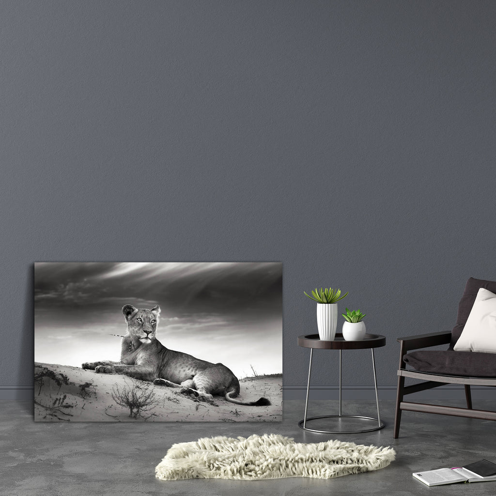 Lioness On Desert Dune Canvas Painting Synthetic Frame-Paintings MDF Framing-AFF_FR-IC 5001017 IC 5001017, African, Animals, Art and Paintings, Black, Black and White, Nature, Scenic, White, Wildlife, lioness, on, desert, dune, canvas, painting, synthetic, frame, lion, africa, animal, art, artistic, b, w, carnivore, cat, cloud, feline, female, kalahari, leo, lie, mammal, monochrome, nobody, one, outdoor, panthera, predator, rest, safari, sand, sky, top, wild, wilderness, artzfolio, wall decor for living roo