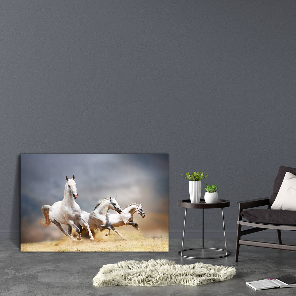 White Horses D4 Canvas Painting Synthetic Frame-Paintings MDF Framing-AFF_FR-IC 5001143 IC 5001143, Art and Paintings, Black, Black and White, Nature, Scenic, White, horses, d4, canvas, painting, synthetic, frame, beast, blue, cloud, cloudy, dust, emotions, equestrian, equine, farm, fast, fastest, fight, force, forward, free, freedom, gallop, gray, grey, ground, herd, hoofed, horse, isolated, jump, light, male, mammal, mane, motion, moving, power, ranch, run, runner, sand, silver, sky, speed, stallion, star