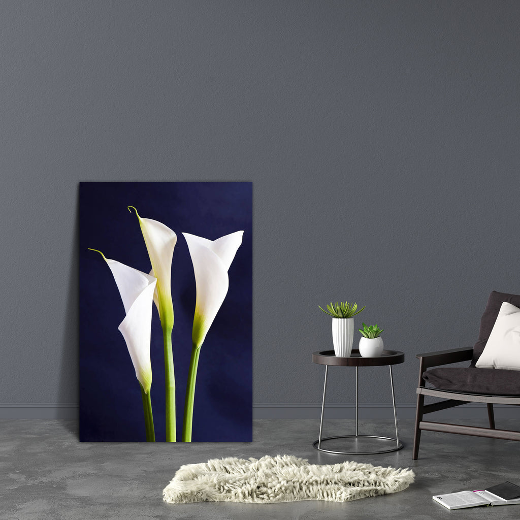 White Callas Flower Canvas Painting Synthetic Frame-Paintings MDF Framing-AFF_FR-IC 5001223 IC 5001223, Black, Black and White, Botanical, Decorative, Floral, Flowers, Nature, White, callas, flower, canvas, painting, synthetic, frame, calla, lily, arrangement, beauty, bloom, blooming, blossom, botany, bouquet, bunch, corolla, delicate, flora, fragile, freshness, funnel, garden, gift, inflorescence, isolated, nosegay, ornamental, petal, plant, poisonous, posy, purity, sepal, shape, species, stem, toxic, zant