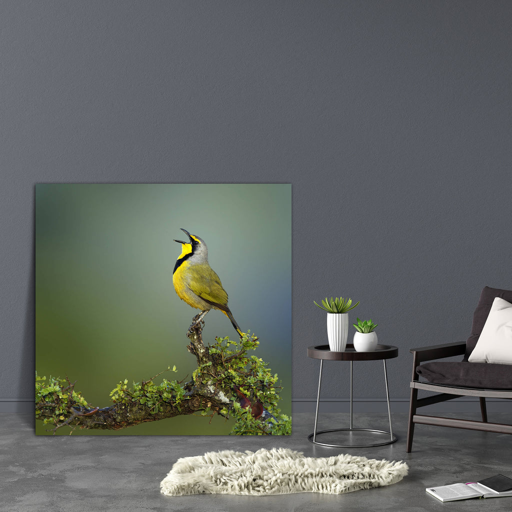 Bokmakierie bird of South Africa Canvas Painting Synthetic Frame-Paintings MDF Framing-AFF_FR-IC 5001251 IC 5001251, African, Animals, Birds, Botanical, Floral, Flowers, Nature, Scenic, Wildlife, bokmakierie, bird, of, south, africa, canvas, painting, synthetic, frame, animal, beak, branch, call, cape, eastern, flora, green, leaves, little, national, nobody, one, open, park, perch, province, sing, sit, small, top, whistle, wide, artzfolio, wall decor for living room, wall frames for living room, frames for 
