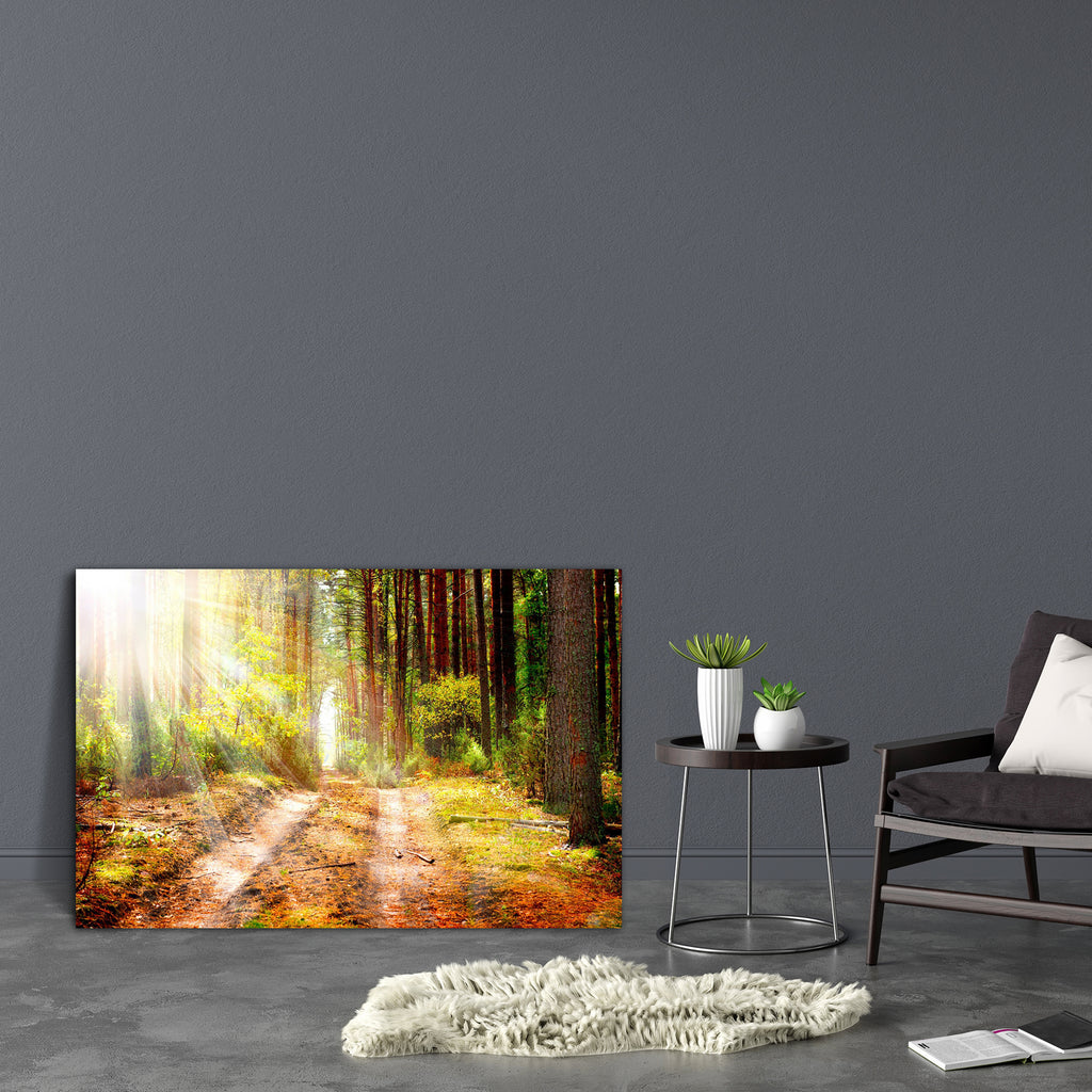 Autumn Forest D1 Canvas Painting Synthetic Frame-Paintings MDF Framing-AFF_FR-IC 5001626 IC 5001626, Automobiles, Countries, Landscapes, Nature, Scenic, Seasons, Sunrises, Sunsets, Transportation, Travel, Vehicles, Wooden, autumn, forest, d1, canvas, painting, synthetic, frame, background, beams, beautiful, branches, colors, country, countryside, daylight, deep, ecology, environment, fall, hike, hiking, land, landscape, light, mist, misty, moisture, moss, natural, park, peaceful, pine, tree, rays, scene, sc