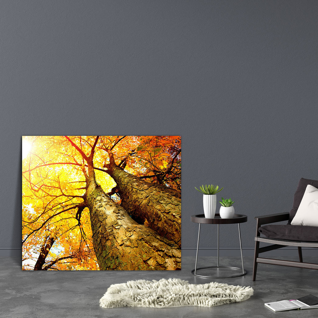 Autumn Trees Fall Canvas Painting Synthetic Frame-Paintings MDF Framing-AFF_FR-IC 5001697 IC 5001697, Art and Paintings, Landscapes, Nature, Rural, Scenic, Seasons, Sunrises, Sunsets, Wooden, autumn, trees, fall, canvas, painting, synthetic, frame, tree, leaves, forest, oak, sun, landscape, maple, sunlight, art, autumnal, beautiful, beauty, bright, brown, calm, color, colorful, colour, environment, evening, foliage, fresh, golden, green, light, morning, natural, orange, outdoor, outside, park, photo, plant,