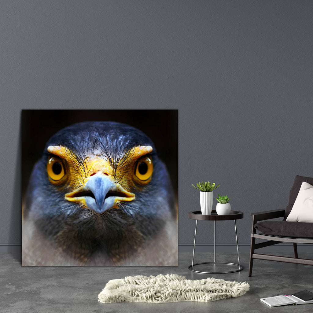 Eagle Spilornis Cheela Canvas Painting Synthetic Frame-Paintings MDF Framing-AFF_FR-IC 5001852 IC 5001852, Animals, Asian, Birds, Black, Black and White, Individuals, Nature, Portraits, Scenic, Signs and Symbols, Symbols, Wildlife, eagle, spilornis, cheela, canvas, painting, synthetic, frame, aerial, animal, arabic, falcon, avian, bald, beak, beautiful, big, bird, eye, view, brown, carnivore, closeup, critter, eurasian, face, logo, falconry, feather, fly, hawk, hunter, isolated, look, night, orange, owl, pe