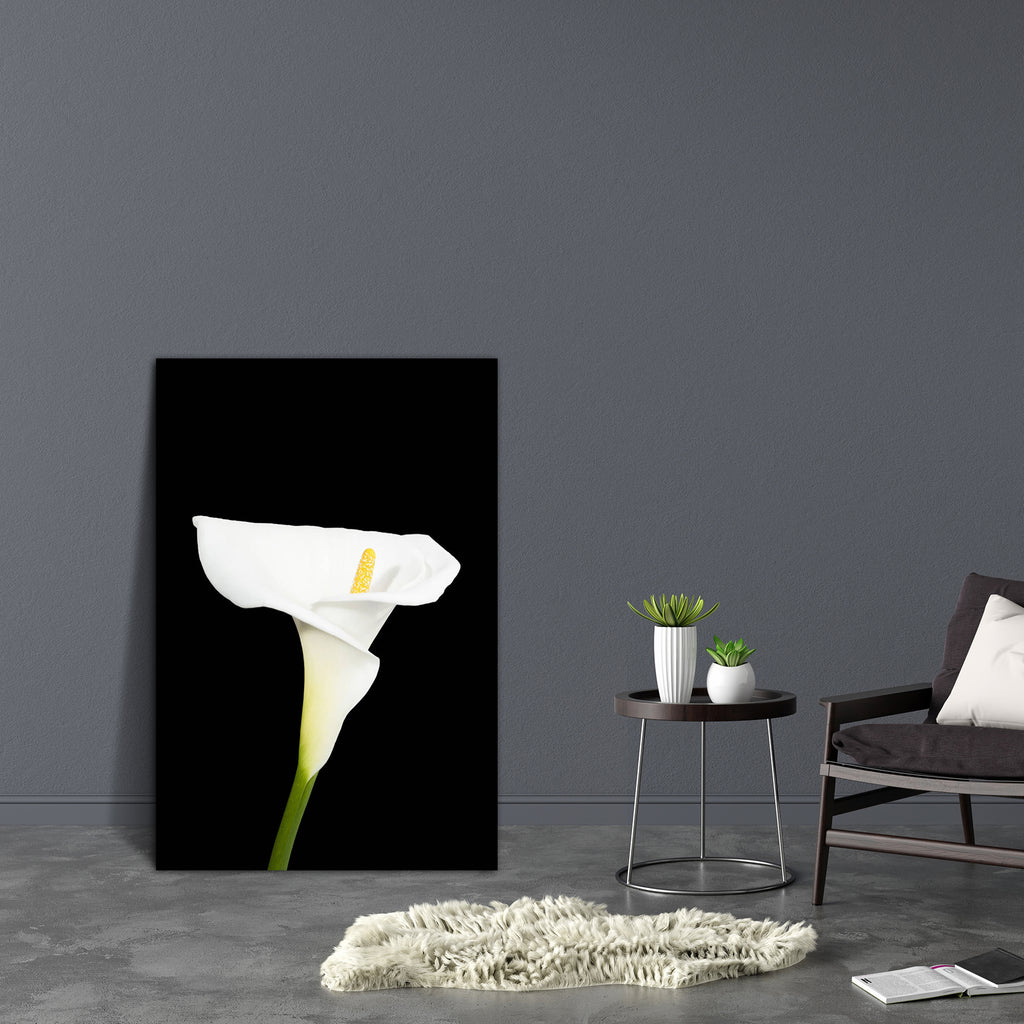 White Calla Lily Canvas Painting Synthetic Frame-Paintings MDF Framing-AFF_FR-IC 5001867 IC 5001867, Black and White, Botanical, Floral, Flowers, Love, Nature, Romance, Scenic, White, calla, lily, canvas, painting, synthetic, frame, arum, beautiful, big, black, background, bloom, blooming, bright, close, closeup, curls, curves, elegant, flora, flower, foliage, fragile, garden, gift, green, isolated, leaves, lilly, macro, natural, passion, peaceful, perfume, petal, petals, plants, posing, pure, romantic, sin