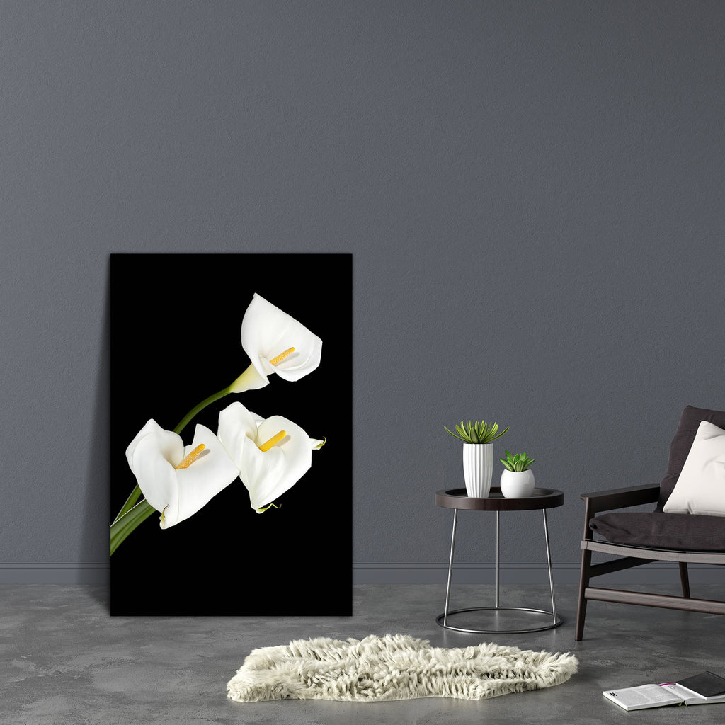 White Calla Lilies Canvas Painting Synthetic Frame-Paintings MDF Framing-AFF_FR-IC 5001886 IC 5001886, Black, Black and White, Botanical, Floral, Flowers, Individuals, Nature, Portraits, Scenic, Seasons, White, calla, lilies, canvas, painting, synthetic, frame, arum, beautiful, beauty, in, background, bloom, blooming, blossom, blossoming, botany, bud, lily, close, up, curl, curve, dark, delicate, elegant, exotic, fine, flora, flower, fragile, green, innocence, isolated, long, stem, petal, plant, portrait, p