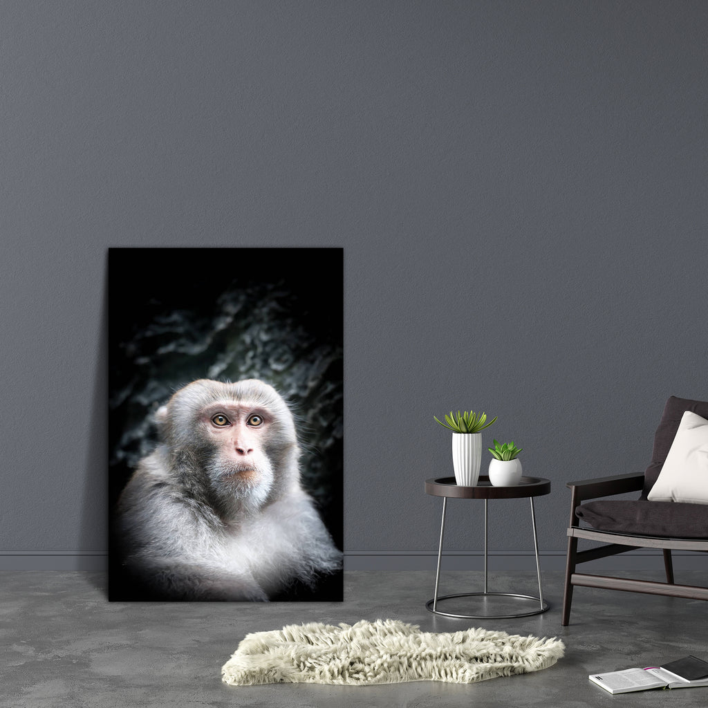 Monkey With Gray Fur Canvas Painting Synthetic Frame-Paintings MDF Framing-AFF_FR-IC 5002352 IC 5002352, Animals, Art and Paintings, Black, Black and White, Individuals, Nature, Portraits, Scenic, Wildlife, monkey, with, gray, fur, canvas, painting, synthetic, frame, adorable, alone, animal, background, calm, clean, closeup, contemplation, creature, cute, dark, emotion, endangered, expression, eye, face, facial, focus, front, hair, head, intelligence, little, look, looking, mammal, one, portrait, primate, s