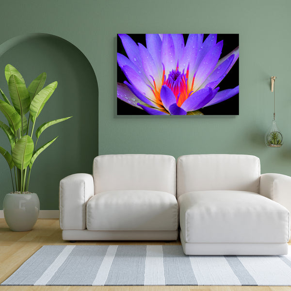 Lotus D2 Canvas Painting Synthetic Frame-Paintings MDF Framing-AFF_FR-IC 5002364 IC 5002364, Black, Black and White, Botanical, Floral, Flowers, Nature, Scenic, Seasons, Tropical, lotus, d2, canvas, painting, for, bedroom, living, room, engineered, wood, frame, flower, aquatic, background, beautiful, beauty, bloom, blooming, blossom, blue, botany, bright, close, closeup, color, colorful, exotic, flora, fresh, garden, green, large, leaf, leaves, life, light, lilly, lily, macro, natural, one, outdoor, petal, 
