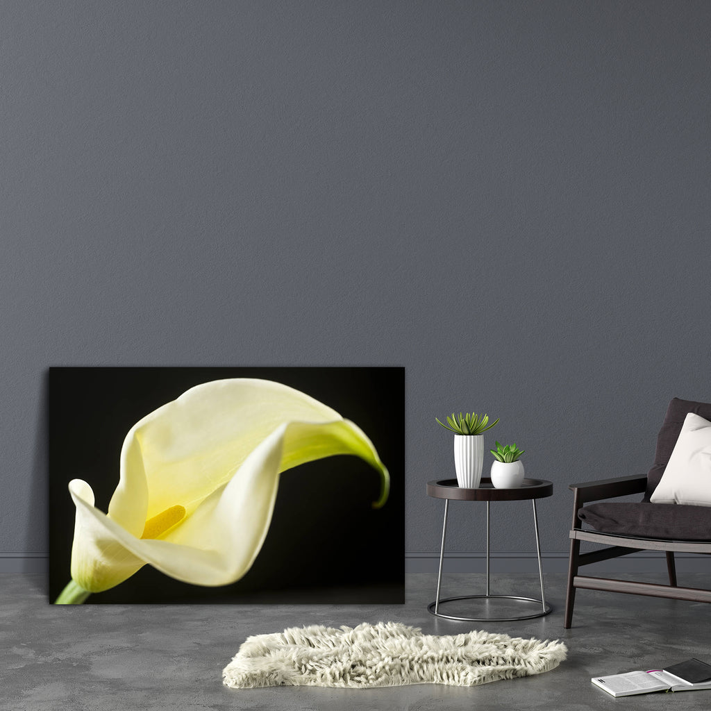 Flower D1 Canvas Painting Synthetic Frame-Paintings MDF Framing-AFF_FR-IC 5002392 IC 5002392, Black and White, Botanical, Floral, Flowers, Nature, Scenic, White, flower, d1, canvas, painting, synthetic, frame, easter, lily, arum, beautiful, calla, fragility, holidays, and, celebrations, isolated, objects, on, nobody, part, of, plant, two, artzfolio, wall decor for living room, wall frames for living room, frames for living room, wall art, canvas painting, wall frame, scenery, panting, paintings for living r