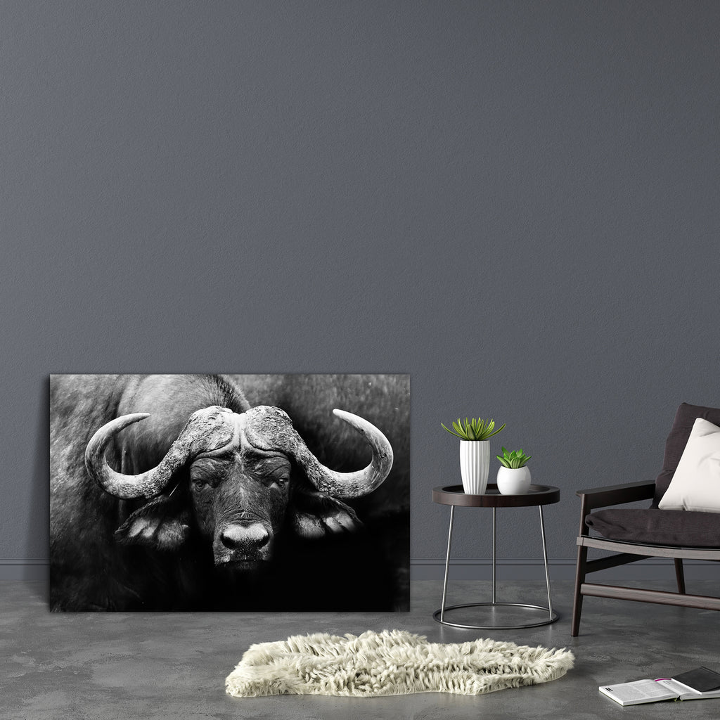 African Cape Buffalo Canvas Painting Synthetic Frame-Paintings MDF Framing-AFF_FR-IC 5002529 IC 5002529, African, Animals, Black, Black and White, Nature, Scenic, Sports, White, Wildlife, cape, buffalo, canvas, painting, synthetic, frame, africa, animal, and, conservation, facing, game, herd, large, looking, mammal, monochrome, national, park, reserve, safari, savanna, vacation, wild, zambia, artzfolio, wall decor for living room, wall frames for living room, frames for living room, wall art, canvas paintin