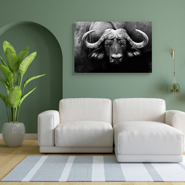 African Cape Buffalo Canvas Painting Synthetic Frame-Paintings MDF Framing-AFF_FR-IC 5002529 IC 5002529, African, Animals, Black, Black and White, Nature, Scenic, Sports, White, Wildlife, cape, buffalo, canvas, painting, for, bedroom, living, room, engineered, wood, frame, africa, animal, and, conservation, facing, game, herd, large, looking, mammal, monochrome, national, park, reserve, safari, savanna, vacation, wild, zambia, artzfolio, wall decor for living room, wall frames for living room, frames for li