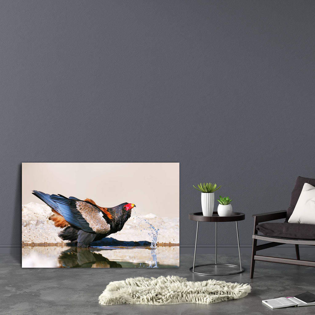 Bateleur Eagle Drinking Water Kalahari Desert Canvas Painting Synthetic Frame-Paintings MDF Framing-AFF_FR-IC 5002550 IC 5002550, African, Animals, Birds, Black, Black and White, Nature, Scenic, Wildlife, bateleur, eagle, drinking, water, kalahari, desert, canvas, painting, synthetic, frame, africa, animal, bird, drink, droplets, drops, national, one, outdoors, park, perch, raptor, red, rocky, scooping, side, south, stand, thirst, view, wade, waterhole, wet, wild, artzfolio, wall decor for living room, wall