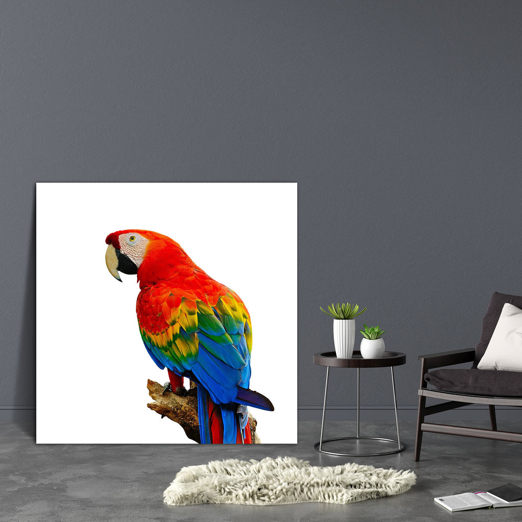 Colorful Scarlet Macaw Aviary Canvas Painting Synthetic Frame-Paintings MDF Framing-AFF_FR-IC 5002603 IC 5002603, Animals, Birds, Black and White, Individuals, Nature, Pets, Portraits, Scenic, Tropical, White, Wildlife, colorful, scarlet, macaw, aviary, canvas, painting, synthetic, frame, parrot, parrots, background, animal, beak, beautiful, bird, color, cute, exotic, eye, fauna, feather, life, looking, natural, pet, portrait, pretty, red, standing, vertebrate, wild, wing, artzfolio, wall decor for living r