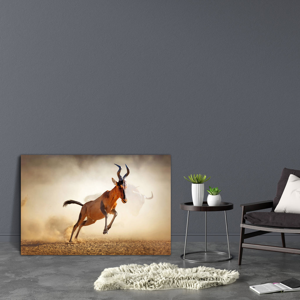 Red Hartebeest in Kalahari Desert, South Africa Canvas Painting Synthetic Frame-Paintings MDF Framing-AFF_FR-IC 5002714 IC 5002714, African, Animals, Nature, Scenic, Wildlife, red, hartebeest, in, kalahari, desert, south, africa, canvas, painting, synthetic, frame, action, active, air, animal, antelope, behavior, dust, dusty, energetic, energy, fast, front, full, herbivore, high, image, jump, leap, mammal, mid, moody, motion, nobody, one, outdoor, power, powerful, run, safari, sand, speed, spring, sprint, s