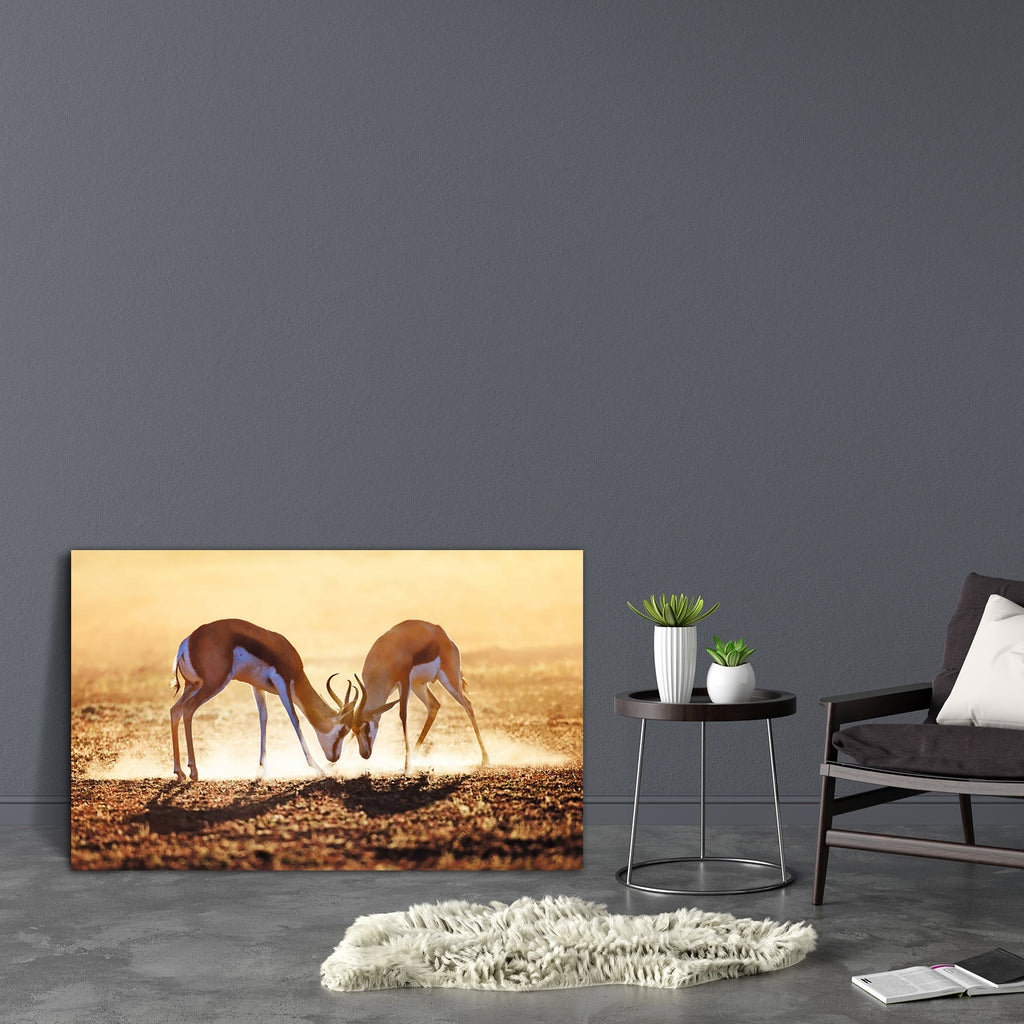 Springbok Dual in Kalahari Desert, South Africa Canvas Painting Synthetic Frame-Paintings MDF Framing-AFF_FR-IC 5002715 IC 5002715, African, Animals, Nature, Scenic, Wildlife, springbok, dual, in, kalahari, desert, south, africa, canvas, painting, synthetic, frame, action, active, aggression, aggressive, aggressiveness, animal, antelope, backlight, backlit, battle, commotion, domination, dust, dusty, fierce, fight, golden, heads, horizontal, horns, image, intense, interaction, mammal, motion, movement, nobo