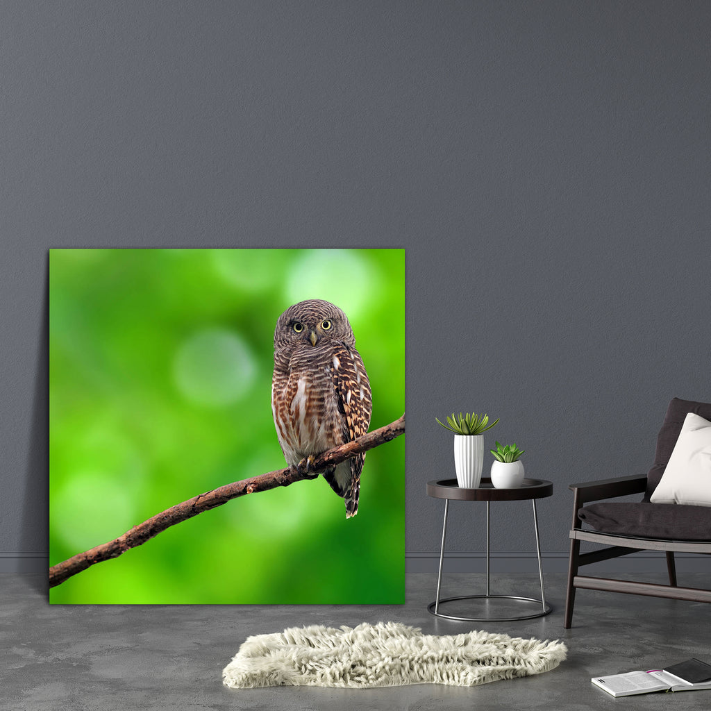 Owl D1 Canvas Painting Synthetic Frame-Paintings MDF Framing-AFF_FR-IC 5002877 IC 5002877, Animals, Asian, Birds, Tropical, owl, d1, canvas, painting, synthetic, frame, barn, bird, flying, fauna, little, owlet, related, scoops, tawny, thailand, artzfolio, wall decor for living room, wall frames for living room, frames for living room, wall art, canvas painting, wall frame, scenery, panting, paintings for living room, framed wall art, wall painting, scenery painting, framed wall painting, scenery for wall wi