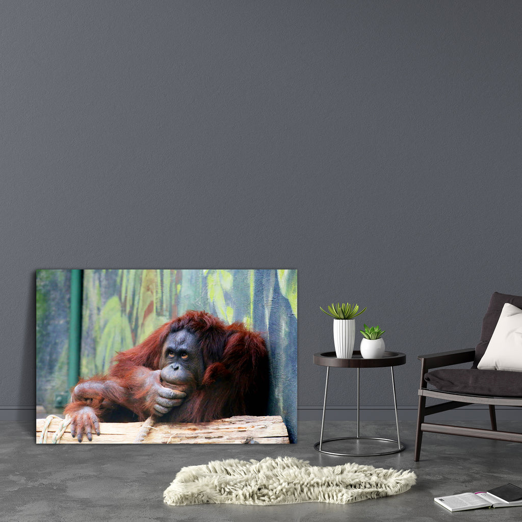 Orangutan In Thinking Position Canvas Painting Synthetic Frame-Paintings MDF Framing-AFF_FR-IC 5003110 IC 5003110, Animals, Asian, Individuals, Nature, Portraits, Scenic, Wildlife, orangutan, in, thinking, position, canvas, painting, synthetic, frame, animal, ape, apes, arboreal, asia, borneo, brown, face, forest, fur, hair, hairy, hand, horizontal, indonesia, israel, kalimantan, mammal, monkey, monkeys, mother, nobody, orange, orangutang, photo, portrait, primate, wild, zoo, artzfolio, wall decor for livin