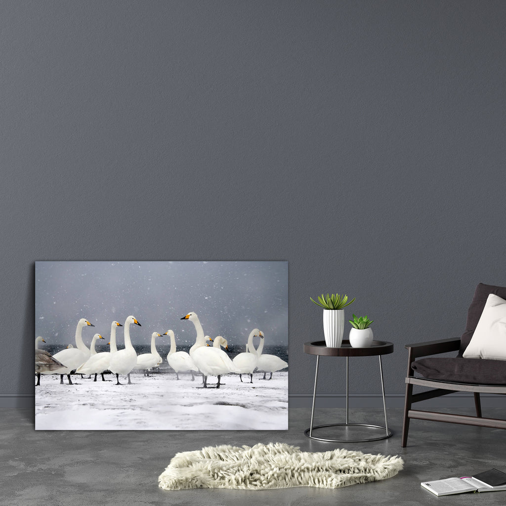 Group Of Birds On Snow Canvas Painting Synthetic Frame-Paintings MDF Framing-AFF_FR-IC 5003137 IC 5003137, Animals, Birds, Nature, Scenic, Wildlife, group, of, on, snow, canvas, painting, synthetic, frame, animal, bird, britain, british, ice, swan, uk, water, waterfowl, winter, artzfolio, wall decor for living room, wall frames for living room, frames for living room, wall art, canvas painting, wall frame, scenery, panting, paintings for living room, framed wall art, wall painting, scenery painting, framed 