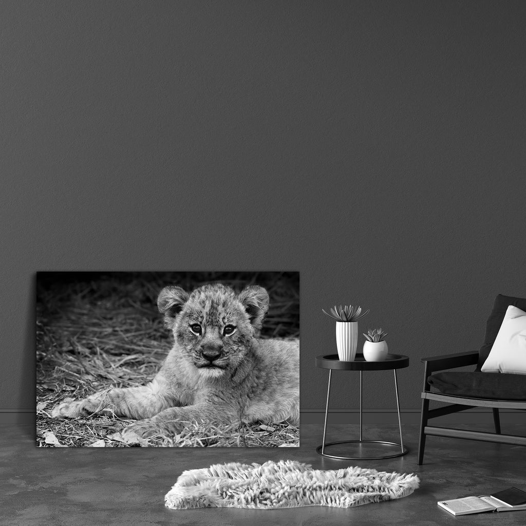 Cute Lion Cub D1 Canvas Painting Synthetic Frame-Paintings MDF Framing-AFF_FR-IC 5003170 IC 5003170, African, Animals, Baby, Black, Black and White, Children, Kids, Nature, Scenic, White, Wildlife, cute, lion, cub, d1, canvas, painting, synthetic, frame, adorable, africa, animal, beautiful, big, carnivore, cat, close, closeup, conservation, cuddly, expression, eyes, feline, fur, furry, golden, kitten, leo, male, mammal, national, park, pose, predator, safari, savannah, small, tourism, wild, young, zambia, a