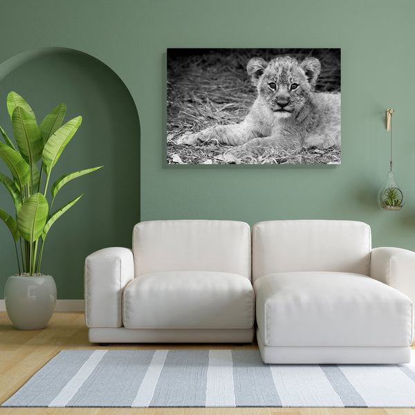 Cute Lion Cub D1 Canvas Painting Synthetic Frame-Paintings MDF Framing-AFF_FR-IC 5003170 IC 5003170, African, Animals, Baby, Black, Black and White, Children, Kids, Nature, Scenic, White, Wildlife, cute, lion, cub, d1, canvas, painting, for, bedroom, living, room, engineered, wood, frame, adorable, africa, animal, beautiful, big, carnivore, cat, close, closeup, conservation, cuddly, expression, eyes, feline, fur, furry, golden, kitten, leo, male, mammal, national, park, pose, predator, safari, savannah, sma