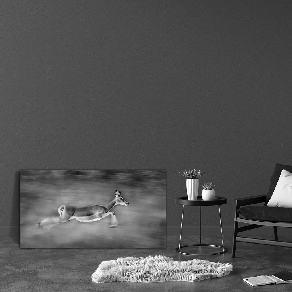 Image Of An Impala Canvas Painting Synthetic Frame-Paintings MDF Framing-AFF_FR-IC 5003235 IC 5003235, African, Animals, Black and White, Nature, Scenic, White, Wildlife, image, of, an, impala, canvas, painting, synthetic, frame, africa, animal, black, and, fast, mammal, monochrome, motion, blur, running, safari, speed, wild, zambia, artzfolio, wall decor for living room, wall frames for living room, frames for living room, wall art, canvas painting, wall frame, scenery, panting, paintings for living room, 