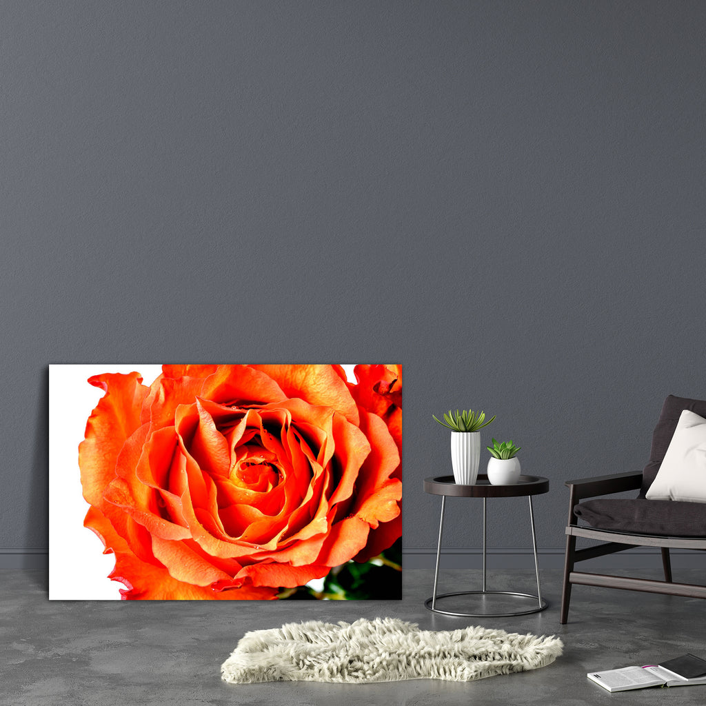 Orange Rose Petals Canvas Painting Synthetic Frame-Paintings MDF Framing-AFF_FR-IC 5003335 IC 5003335, Black and White, Botanical, Floral, Flowers, Holidays, Love, Nature, Romance, Scenic, Signs and Symbols, Symbols, White, orange, rose, petals, canvas, painting, synthetic, frame, anniversary, aroma, background, beautiful, beauty, bloom, blossom, bright, bud, celebration, close, closeup, color, day, delicate, detail, elegant, flower, fragility, fresh, gift, holiday, leaf, macro, open, passion, petal, pink, 