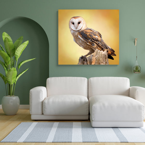A Barn Owl Perched On A Tree Canvas Painting Synthetic Frame-Paintings MDF Framing-AFF_FR-IC 5003436 IC 5003436, Animals, Birds, Black and White, Nature, Places, Scenic, White, Wildlife, a, barn, owl, perched, on, tree, canvas, painting, for, bedroom, living, room, engineered, wood, frame, animal, avian, beautiful, bird, closeup, isolated, looking, outdoors, perching, predator, raptor, tyto, alba, watching, wild, artzfolio, wall decor for living room, wall frames for living room, frames for living room, wal