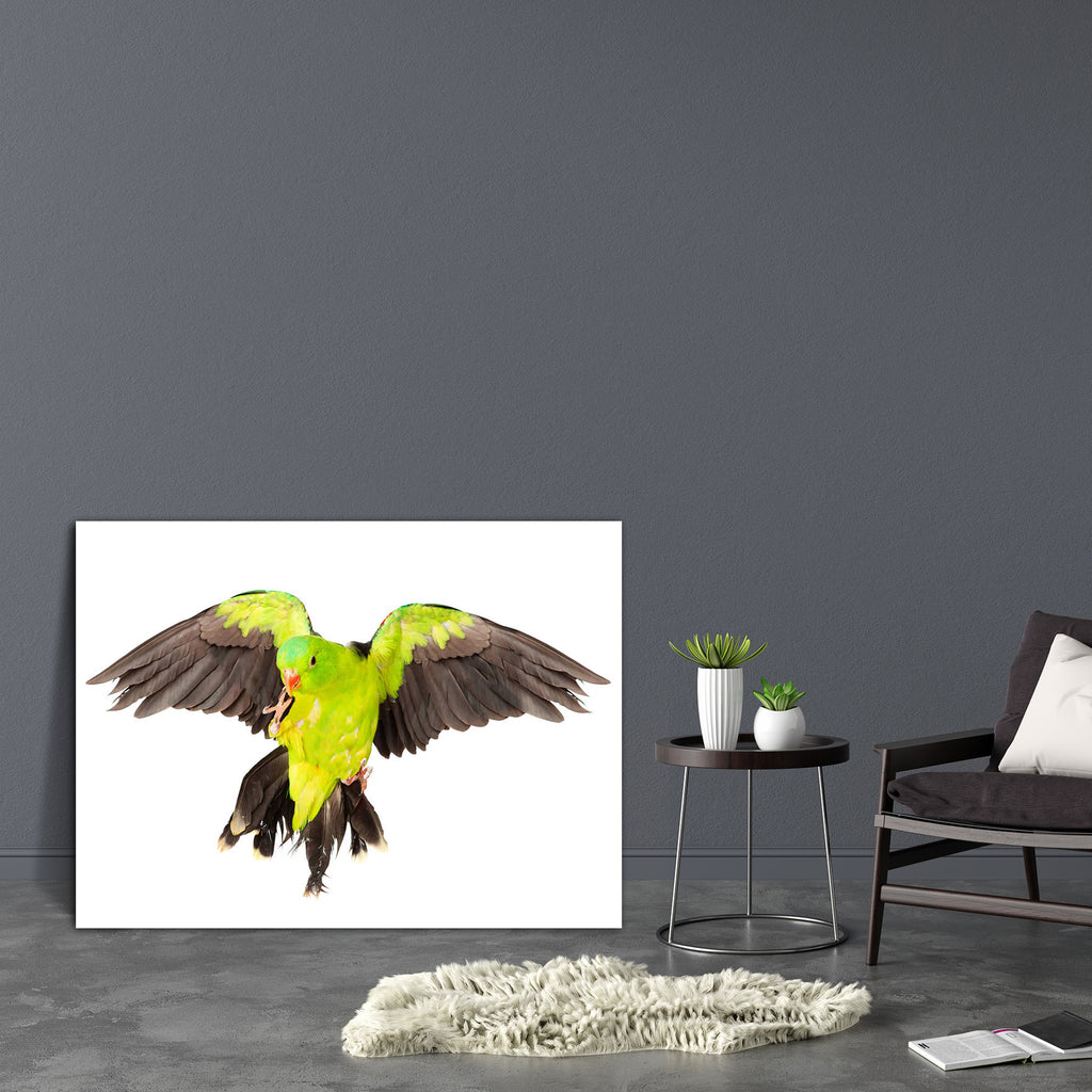 Red Winged Parrot Canvas Painting Synthetic Frame-Paintings MDF Framing-AFF_FR-IC 5003477 IC 5003477, Animals, Birds, Black and White, Individuals, Nature, Pets, Portraits, Scenic, Tropical, White, Wildlife, red, winged, parrot, canvas, painting, synthetic, frame, alone, animal, australia, australian, background, beak, bird, bright, color, colorful, colourful, cute, domestic, exotic, feather, feathered, flight, fly, flying, front, green, isolated, natural, nobody, one, open, pet, portrait, pretty, small, sp