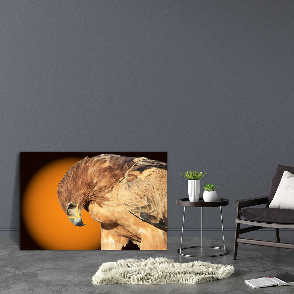 Tawny Eagle Wildlife Background From Africa D1 Canvas Painting Synthetic Frame-Paintings MDF Framing-AFF_FR-IC 5003492 IC 5003492, African, Black, Black and White, Inspirational, Motivation, Motivational, Nature, Scenic, Signs and Symbols, Sunsets, Symbols, White, Wildlife, tawny, eagle, background, from, africa, d1, canvas, painting, synthetic, frame, avian, backdrop, beak, beautiful, beware, bow, brown, classic, color, colorful, danger, decorate, enhanced, eyes, fantastic, feathers, features, focus, free,