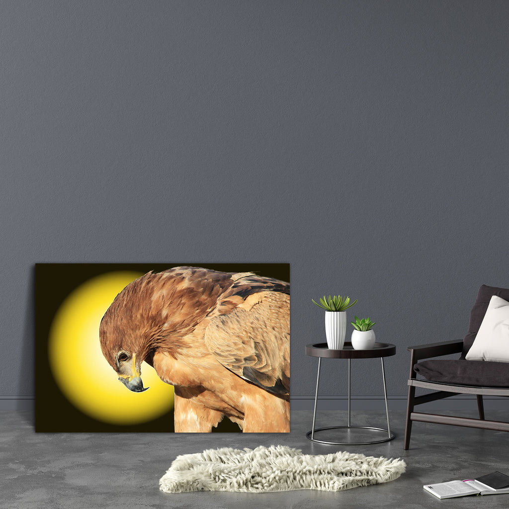 Tawny Eagle Wildlife Background From Africa D2 Canvas Painting Synthetic Frame-Paintings MDF Framing-AFF_FR-IC 5003493 IC 5003493, African, Black, Black and White, Inspirational, Motivation, Motivational, Nature, Scenic, Signs and Symbols, Sunsets, Symbols, White, Wildlife, tawny, eagle, background, from, africa, d2, canvas, painting, synthetic, frame, avian, backdrop, beak, beautiful, beware, bow, brown, classic, color, colorful, danger, decorate, enhanced, eyes, fantastic, feathers, features, focus, free,